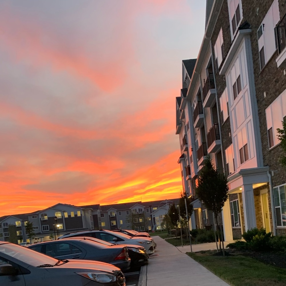 Meet your Posher, Marissa